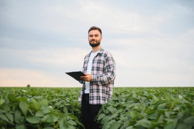 Soya fasulyesi bitkilerini inceleyen ve panoya not alan tarımcı sağlıklı ekinlerin büyümesini ve verimli tarım uygulamalarını sağlıyordu.