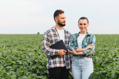 Geniş bir alanda soya bitkilerinin büyümesini analiz eden iki tarım uzmanı, sürdürülebilir tarım uygulamalarını göstermektedir.