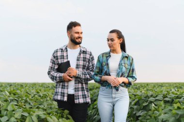 İki çiftçi soya fasulyesi tarlasında yürüyor, yaz kırsalının tadını çıkarırken ekinlerin büyümesini tartışıyor ve analiz ediyorlar.