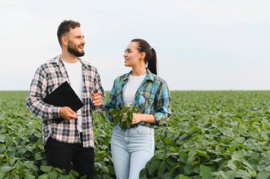 İki çiftçi soya fasulyesi tarlasında konuşarak bitkilerin büyümesini ve sağlığını inceliyor.