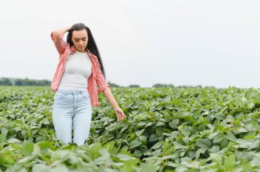 Genç bir kadın çiftçi canlı bir soya tarlasında yürüyor, yemyeşil bitkilere nazikçe dokunuyor ve onları inceliyor, kalite büyümesini sağlıyor.