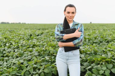 Zengin bir soya tarlasında gururla durup başarılı büyümeyi kutlarken elinde bir pano tutan ve baş parmağını kaldıran mutlu tarım uzmanı.