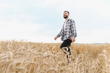 Genç çiftçi olgunlaşmış buğday tarlasında yürümekten zevk alıyor. Parlak gökyüzünün altındaki emeğinin meyvelerini takdir ediyor.