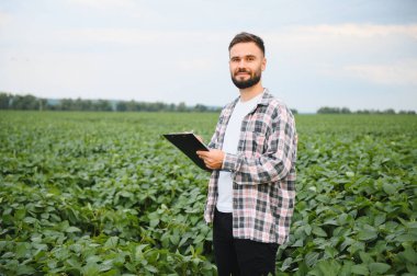 Agronomist bir pano tutuyor, yemyeşil bir soya tarlasının ortasında özenle not alıyor, bitki sağlığı ve gelişimini değerlendiriyor.