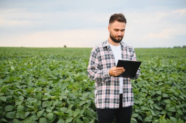 Agronomist, soya fasulyesi tarlasında yetişen ekinleri incelerken panoya notlar yazarak sağlıklı hasat garantisi veriyor.