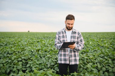 Agronomist soya fasulyesi tarlasında ekinleri incelerken not alıyor, sağlıklı büyüme sağlıyor ve verimi artırıyor.