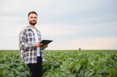 Soya tarlasında pano tutan tarımcı bitkileri inceliyor, ekinlerin büyüme ve gelişimi hakkında notlar alıyor.