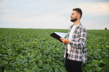 Soya tarlasındaki bitkileri inceleyen, pano tutan ve not alan, büyüme ve ekinlerin sağlığını değerlendiren bir tarım uzmanı.
