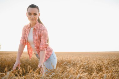 Genç çiftçi kadın gün batımında altın bir tarlada buğday kulaklarını kontrol ederek başarılı bir hasat garantisi veriyor.