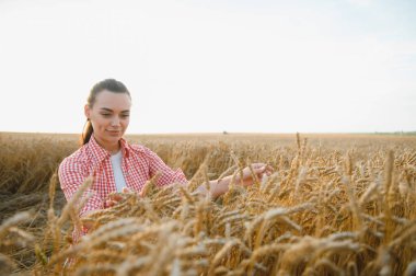 Genç kadın çiftçi, olgunlaşmış buğday kulaklarına hafifçe dokunarak, gün batımında altın tarlada hasat biçerek, tarım başarısını somutlaştırıyor.