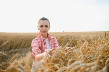 Genç kadın çiftçi gün batımında altın bir tarlada olgunlaşmış buğday kulaklarına dokunarak cömert bir hasat kutluyor.