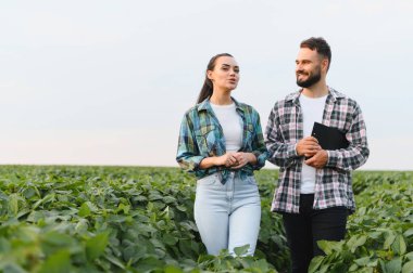 İki çiftçi bir soya tarlasında yürüyor ve tartışıyorlar, muhtemelen ekinleri kontrol ediyorlar veya gelecekteki çalışmaları planlıyorlar.