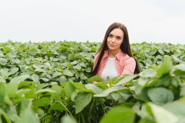 Genç kadın çiftçi soya fasulyelerini incelerken ekili tarım alanındaki büyümeyi izleyerek kalite ve sağlık garantisi sağlıyor.