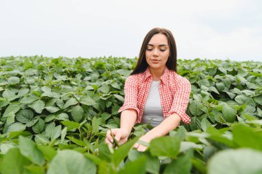 Genç kadın çiftçi, ekili bir tarlada soya fasulyesi yetiştirerek sağlıklı ve verimli bir hasat sağlıyor.