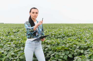 Kadın tarım mühendisi notlar alıyor ve ekilmiş bir tarlada soya fasulyesinin büyümesini inceliyor.