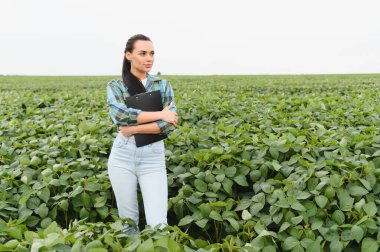 Kendine güvenen kadın tarım mühendisi pano tutuyor, ekili alandaki soya fasulyelerinin büyümesini inceliyor, sağlıklı hasat sağlıyor.