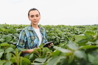 Geniş bir tarımsal alandaki soya bitkilerinin büyümesini incelerken panoya not alan genç bir tarım uzmanı.