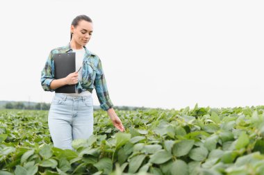 Kadın çiftçi soya tarlasında yürüyor, yapraklara dokunuyor ve not alıyor, tarlaların kalitesini kontrol ediyor.