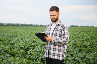 Agronomist, soya fasulyesi tarlasında ekinleri incelerken panoya notlar yazarak sağlıklı büyüme ve verimi en üst düzeye çıkartıyor.