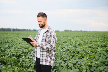 Agronomist, soya fasulyesi tarlasında ekinleri incelerken panoya notlar yazarak sağlıklı büyüme ve verimi en üst düzeye çıkartıyor.