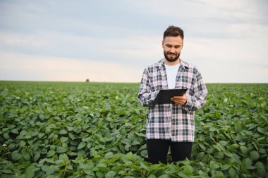 Agronomist, yemyeşil soya tarlasında ekinleri incelerken panoya not alıyor, sağlıklı büyümeyi sağlıyor ve potansiyel verimi en üst düzeye çıkarıyor.