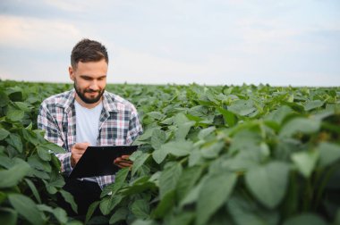 Soya fasulyesi tarlasında ekinleri inceleyen ve panoya not alan tarımcı kalite kontrolü ve büyüme değerlendirmesi yapıyor.