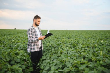 Soya bitkilerinin büyümesini ve gelişimini analiz eden tarımcı, pano tutuyor ve ekinlerin ekili alanlarda incelenmesini sağlıyor.