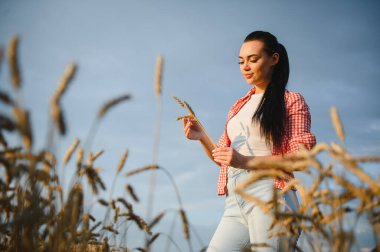 Genç kadın çiftçi, gün batımında altın tarlasında olgun buğday kulaklarını teftiş ederek sağlıklı hasat garantisi veriyor.