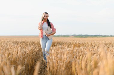 Akıllı telefon kullanan ve elinde dizüstü bilgisayarla buğday tarlasında yürüyen ve ekinleri kontrol eden kadın çiftçi.