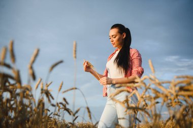 Gün batımında altın tarlasında olgun buğday saplarını inceleyen genç bir kadın çiftçi, hasat kalitesini değerlendiriyor.