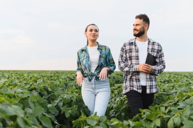 İki çiftçi soya fasulyesi tarlasında yürüyor ve ekinlerinin büyümesini ve sağlığını tartışıyorlar.