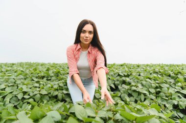 Genç kadın çiftçi, ekili bir tarlada soya fasulyesi yetiştirerek sağlıklı ve verimli bir hasat sağlıyor.
