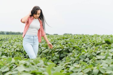 Genç kadın çiftçi, ekili bir tarlada soya fasulyesi yetiştirerek sağlıklı ve verimli bir hasat sağlıyor.