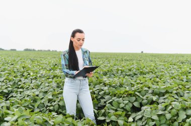 Ekinleri denetleyen ve büyük bir soya tarlasında panoya not alan kadın tarım mühendisi.