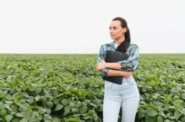 Kendine güvenen kadın tarım mühendisi pano tutuyor, ekili alandaki soya fasulyelerinin büyümesini inceliyor, sağlıklı hasat sağlıyor.