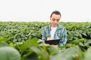 Genç kadın tarım mühendisi soya fasulyesi tarlasında ekinleri denetliyor ve not alıyor.