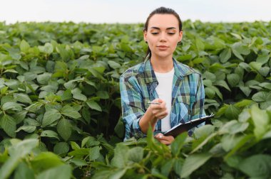 Kadın tarım mühendisi, ekili alandaki soya bitkilerinin büyümesini incelerken panoya not alıyor.