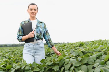 Dişi tarım mühendisi bir pano tutuyor ve verimli bir soya tarlasında mahsulleri denetliyor, kaliteyi sağlıyor ve sürdürülebilir tarım uygulamalarını destekliyor.