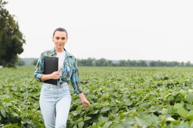 Genç bir çiftçi kadın soya tarlasında yürüyor, elinde bir pano var ve ekinleri inceliyor.