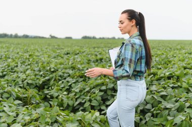 Kadın tarım mühendisi ekilmiş soya tarlasında yürüyor, elinde pano var ve fabrikaları denetliyor.