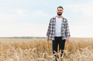 Sıcak bir yaz gününde, parlak güneşin altında altın buğday tarlasında yürüyen genç çiftçi, kırsal hayatın güzelliğinin tadını çıkarıyor.