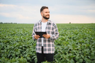 Büyüyen soya fasulyelerini inceleyen tarımcı, sağlıklı bir büyüme ve başarılı bir hasat planlamasını garanti altına alıyor.