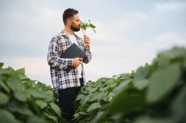 Agronomist soya yaprağını kokluyor, elinde bir pano tutuyor, ekili bir alanda kalite kontrolü yapıyor, sürdürülebilir tarımı destekliyor.