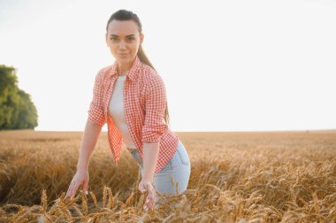 Genç bir kadın çiftçi, sakin bir günbatımında, kırsal tarımın güzelliğini kucaklayarak altın bir tarlada buğday tarlasını teftiş ediyor.