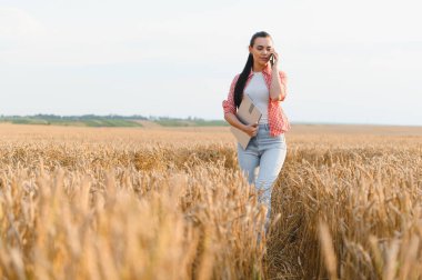 Çiftçi altın buğday tarlasında yürüyor, cep telefonuyla konuşurken dizüstü bilgisayar kullanıyor, teknolojiyi kırsal yaşamla harmanlıyor