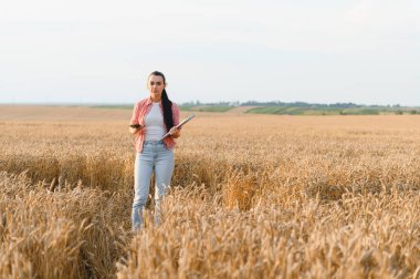 Tarım yönetimi için modern teknolojiyi kullanan kadın çiftçi, akıllı telefon ve pano ile altın buğday tarlasında yürüyor