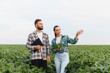 İki çiftçi soya fasulyelerinin büyümesini inceliyor ve başarılı bir hasat planlaması yapıyorlar.