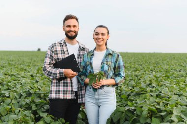 İki genç çiftçi soya fasulyesi tarlasında ellerinde bir pano ve soya fasulyesi ile ekinlerinin büyümesini ve sağlığını inceliyorlar.
