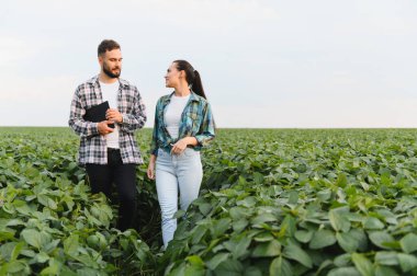 İki çiftçi soya fasulyesi tarlasında yürüyor, bir tableti tartışıyor ve tutuyorlar, muhtemelen tarım ve planlama alanlarını değerlendiriyorlar.