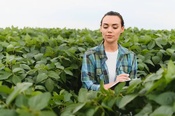 Zengin bir soya ekinini teftiş eden kadın tarım mühendisi canlı bir kırsal alandaki bir panoya özenle not alıyor.